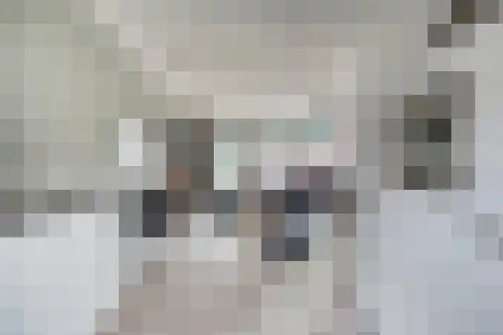 Maasakker 39 Hooge Mierde thumbnail 11