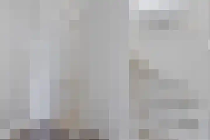 Maasakker 39 Hooge Mierde thumbnail 12