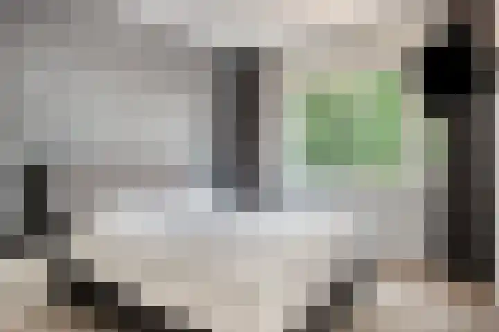 Maasakker 39 Hooge Mierde thumbnail 13