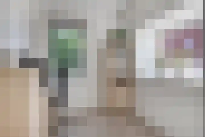 Maasakker 39 Hooge Mierde thumbnail 15