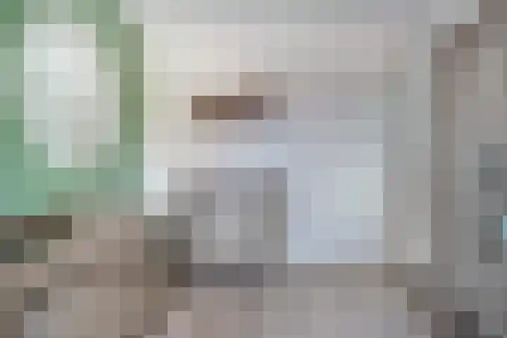 Maasakker 39 Hooge Mierde thumbnail 18