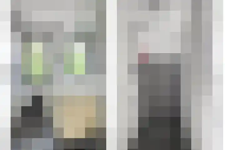 Maasakker 39 Hooge Mierde thumbnail 20