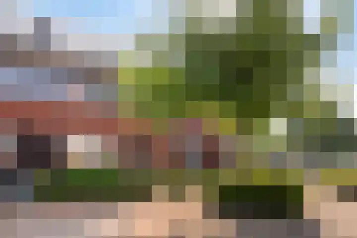 Maasakker 39 Hooge Mierde thumbnail 23