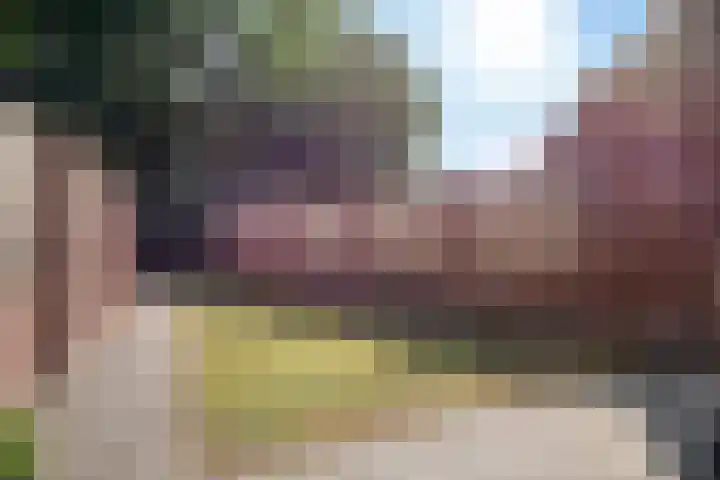 Maasakker 39 Hooge Mierde thumbnail 24