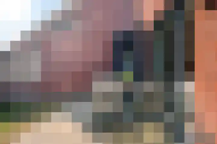 Maasakker 39 Hooge Mierde thumbnail 25
