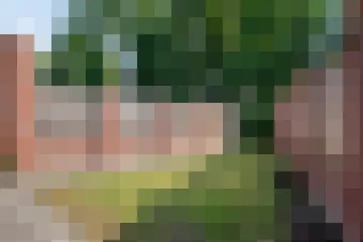 Maasakker 39 Hooge Mierde thumbnail 26