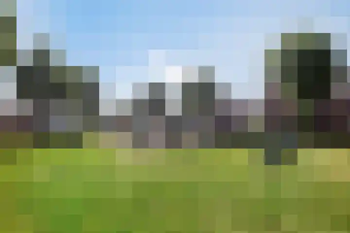 Maasakker 39 Hooge Mierde thumbnail 29