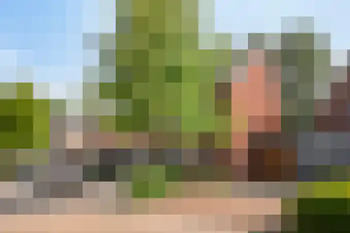 Maasakker 39 Hooge Mierde thumbnail 33