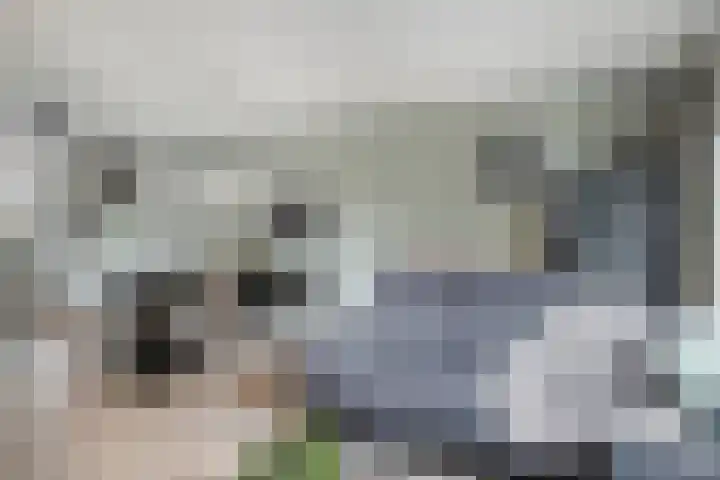 Maasakker 39 Hooge Mierde thumbnail 4