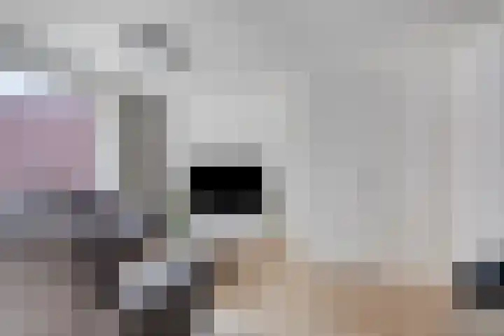 Maasakker 39 Hooge Mierde thumbnail 6