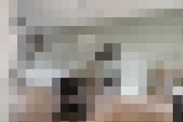 Maasakker 39 Hooge Mierde thumbnail 7
