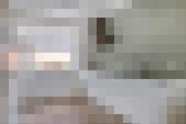 Maasakker 39 Hooge Mierde thumbnail 9