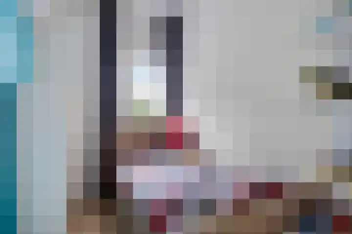 Maasakker 7 Hooge Mierde thumbnail 21
