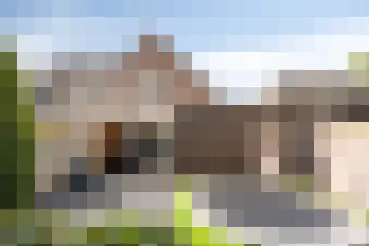 Maasakker 7 Hooge Mierde thumbnail 28