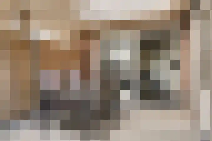 Maasakker 7 Hooge Mierde thumbnail 29