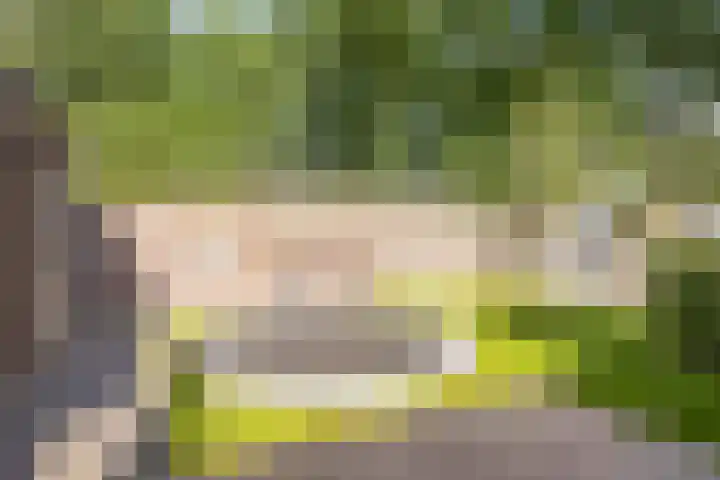 Maasakker 7 Hooge Mierde thumbnail 30