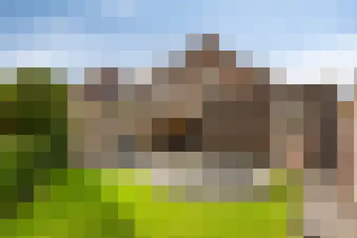 Maasakker 7 Hooge Mierde thumbnail 31