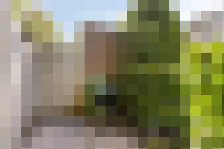 Maasakker 7 Hooge Mierde thumbnail 32