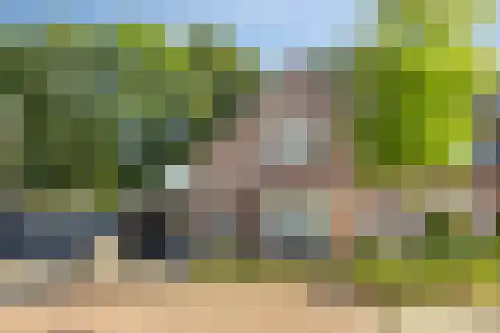 Maasakker 7 Hooge Mierde thumbnail 33