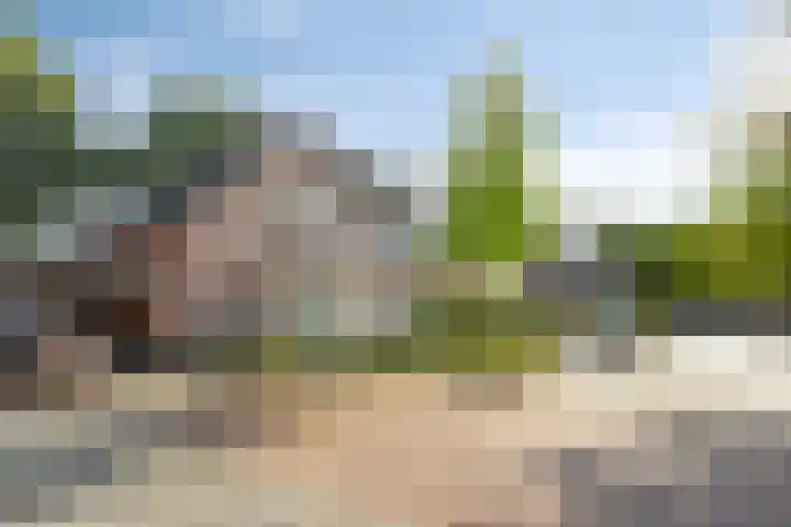 Maasakker 7 Hooge Mierde thumbnail 34