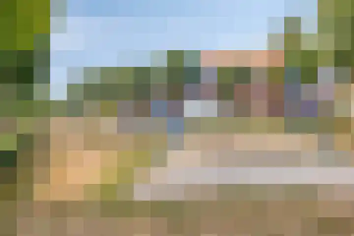Maasakker 7 Hooge Mierde thumbnail 35