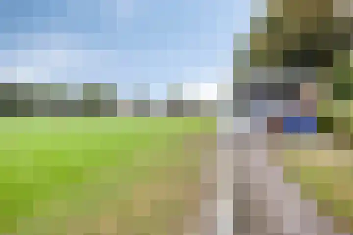 Maasakker 7 Hooge Mierde thumbnail 36