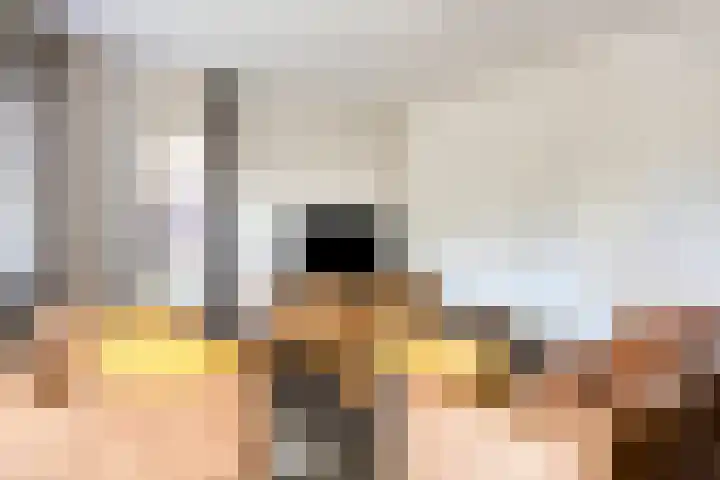 Maasakker 7 Hooge Mierde thumbnail 5