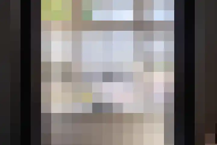 Maasakker 7 Hooge Mierde thumbnail 8