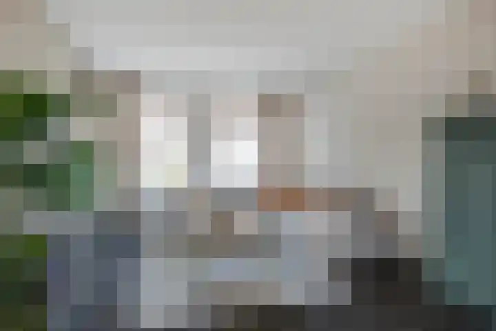 Maasbanderkerkweg 20 Stein thumbnail 15