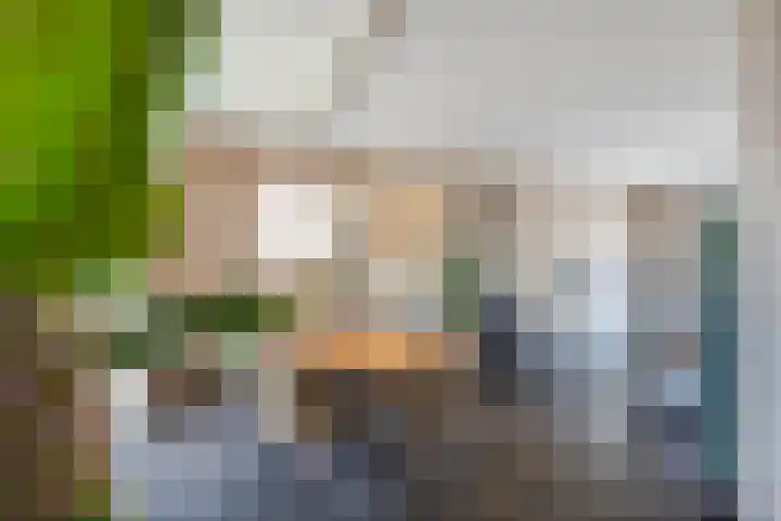 Maasbanderkerkweg 20 Stein thumbnail 17