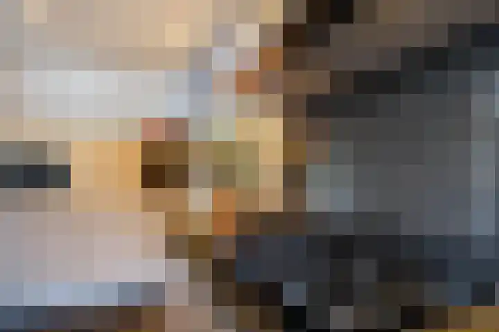 Maasbanderkerkweg 20 Stein thumbnail 25