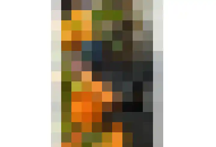Maasbanderkerkweg 20 Stein thumbnail 26