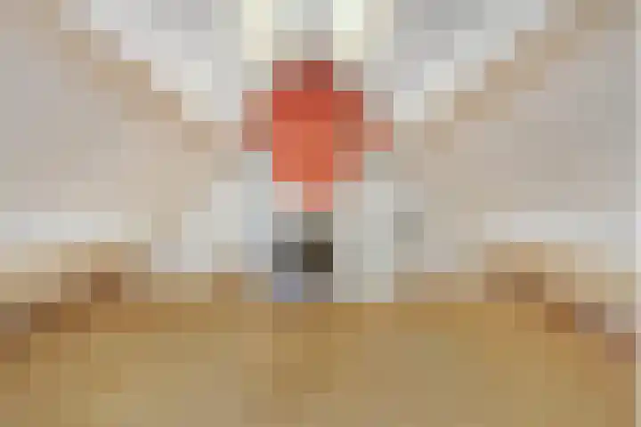Maasbanderkerkweg 20 Stein thumbnail 39