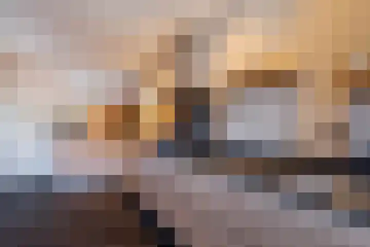 Maasbanderkerkweg 20 Stein thumbnail 4