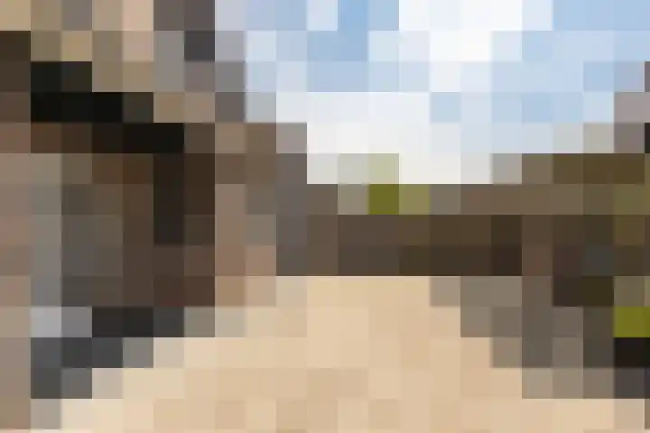 Maasbanderkerkweg 20 Stein thumbnail 47