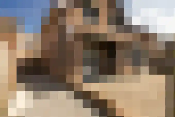 Maasbanderkerkweg 20 Stein thumbnail 53
