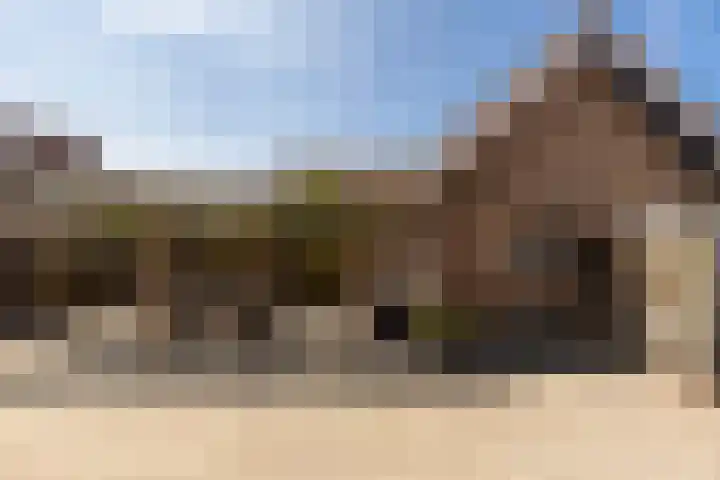 Maasbanderkerkweg 20 Stein thumbnail 56