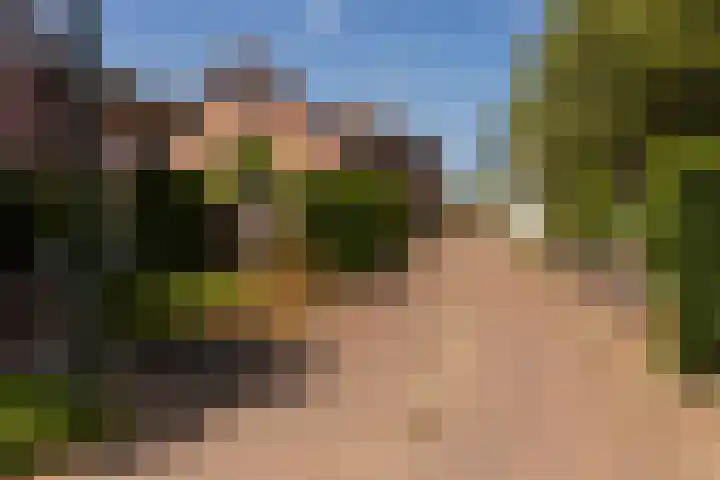 Maasbanderkerkweg 20 Stein thumbnail 57
