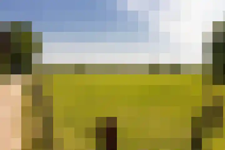 Maasbanderkerkweg 20 Stein thumbnail 58