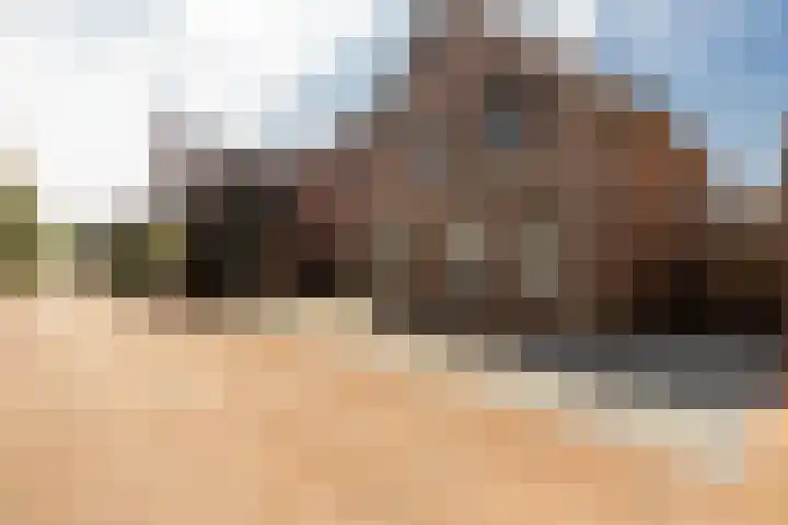Maasbanderkerkweg 20 Stein thumbnail 6