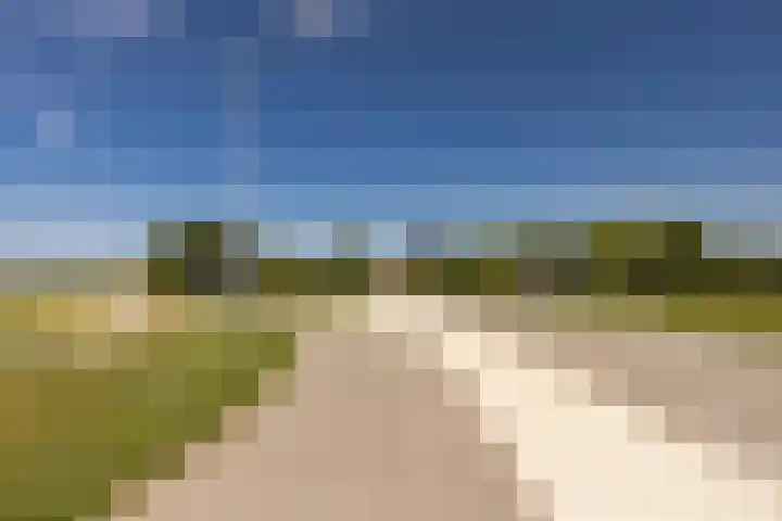 Maasbanderkerkweg 20 Stein thumbnail 62