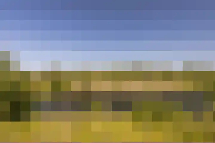 Maasbanderkerkweg 20 Stein thumbnail 63