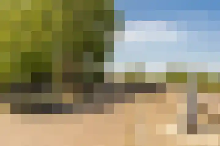 Maasbanderkerkweg 20 Stein thumbnail 64