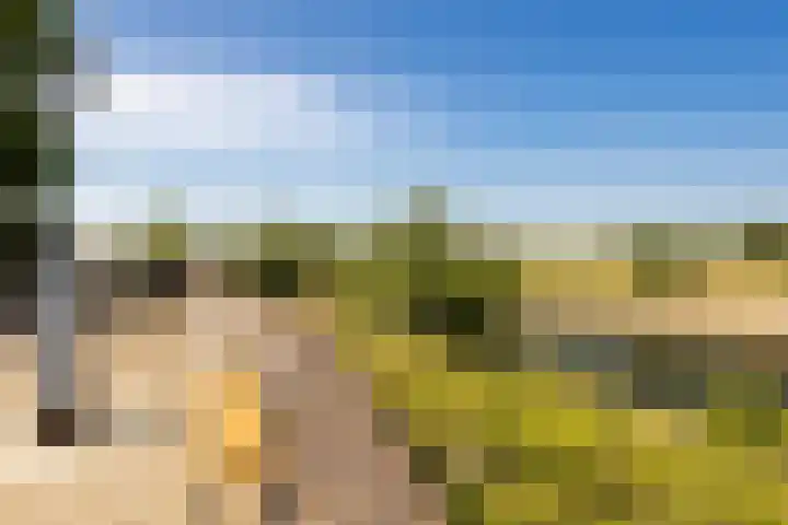 Maasbanderkerkweg 20 Stein thumbnail 65