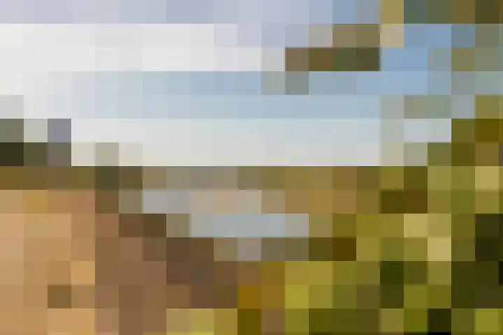 Maasbanderkerkweg 20 Stein thumbnail 66