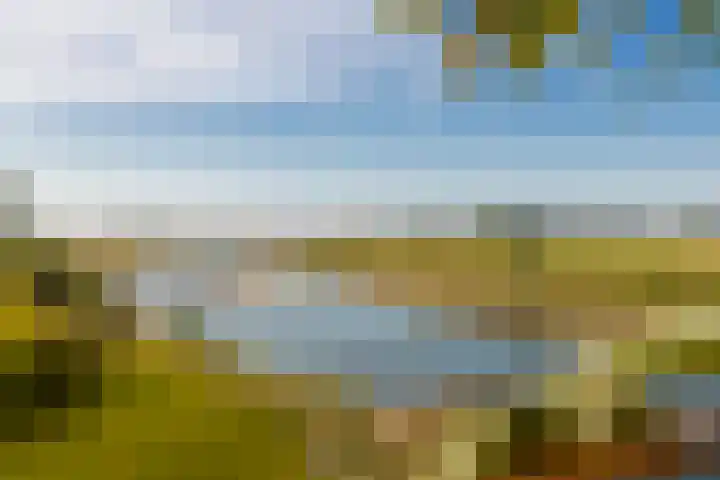 Maasbanderkerkweg 20 Stein thumbnail 67