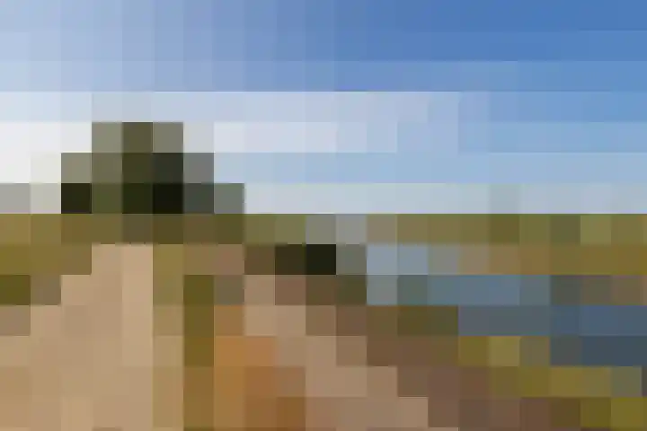 Maasbanderkerkweg 20 Stein thumbnail 68