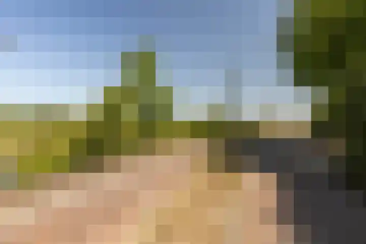 Maasbanderkerkweg 20 Stein thumbnail 69