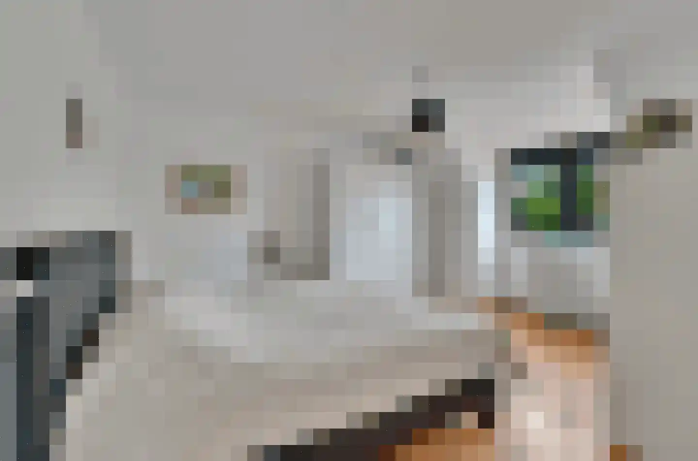 Maasbanderkerkweg 23 Stein thumbnail 10