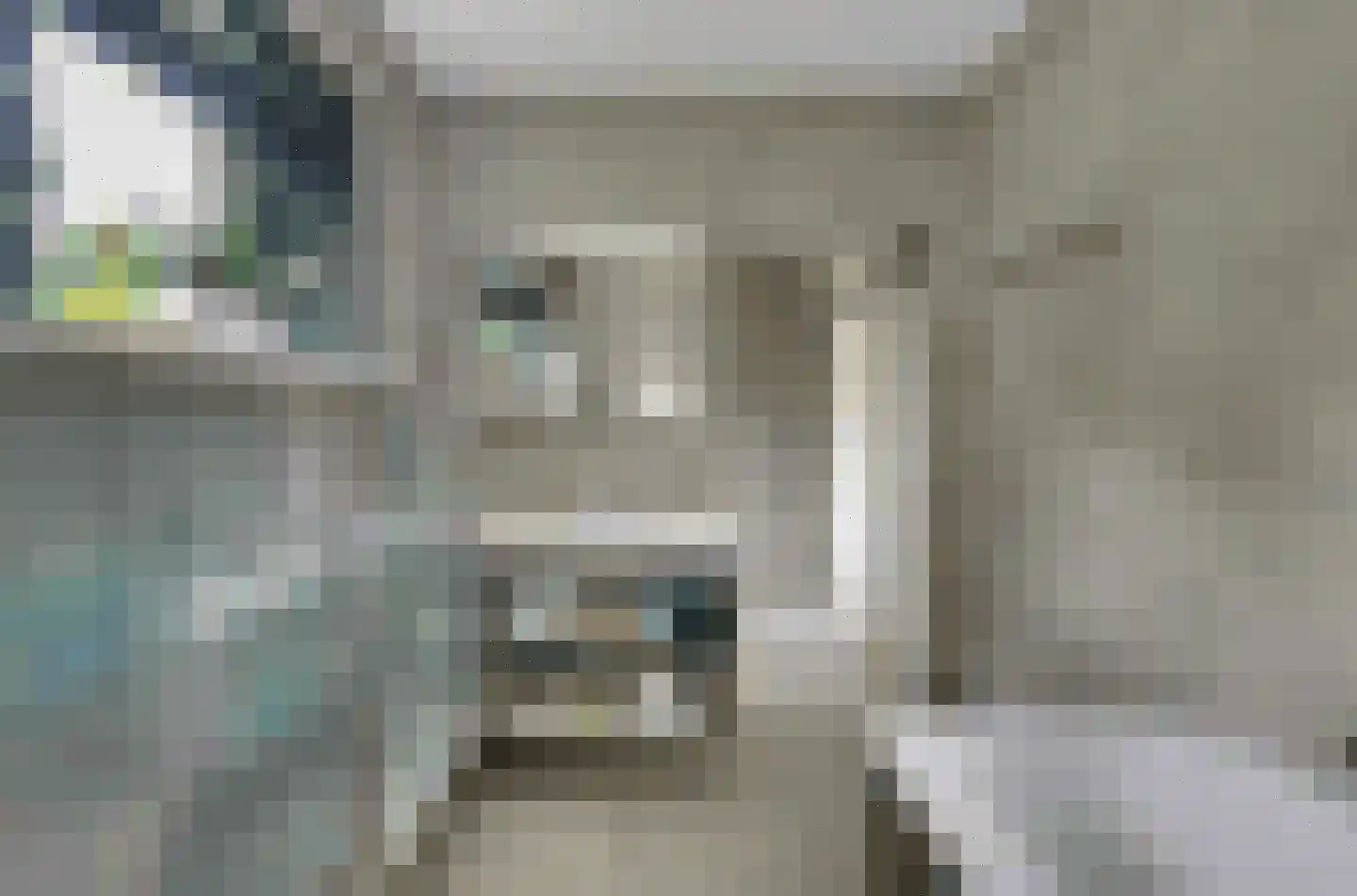 Maasbanderkerkweg 23 Stein thumbnail 12